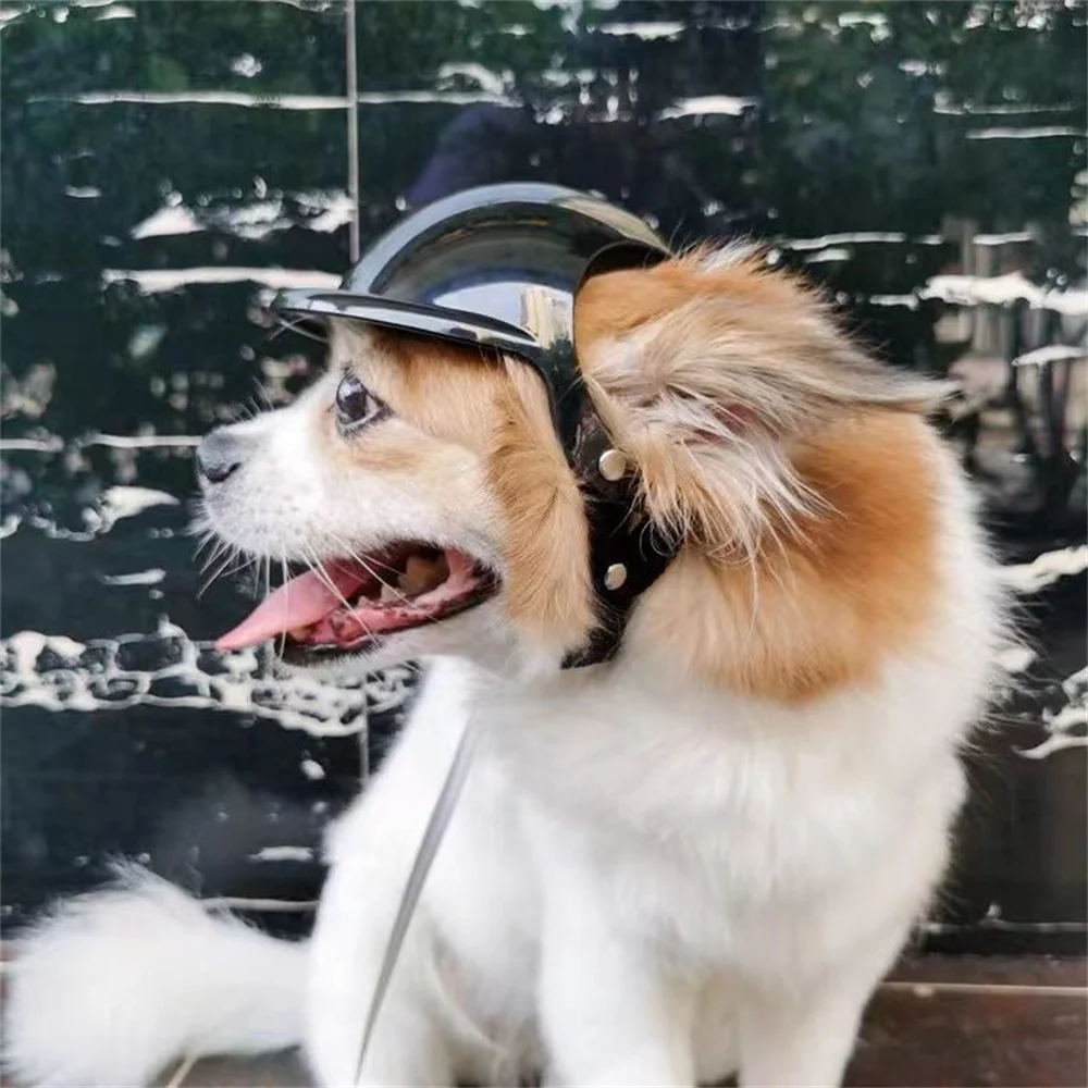 Casco de Motocicleta para Bulldog Francés, Accesorios Elegantes para Perros Pequeños y Medianos, Cachorros, Mascotas, Gorro, Accesorio para la Cabeza