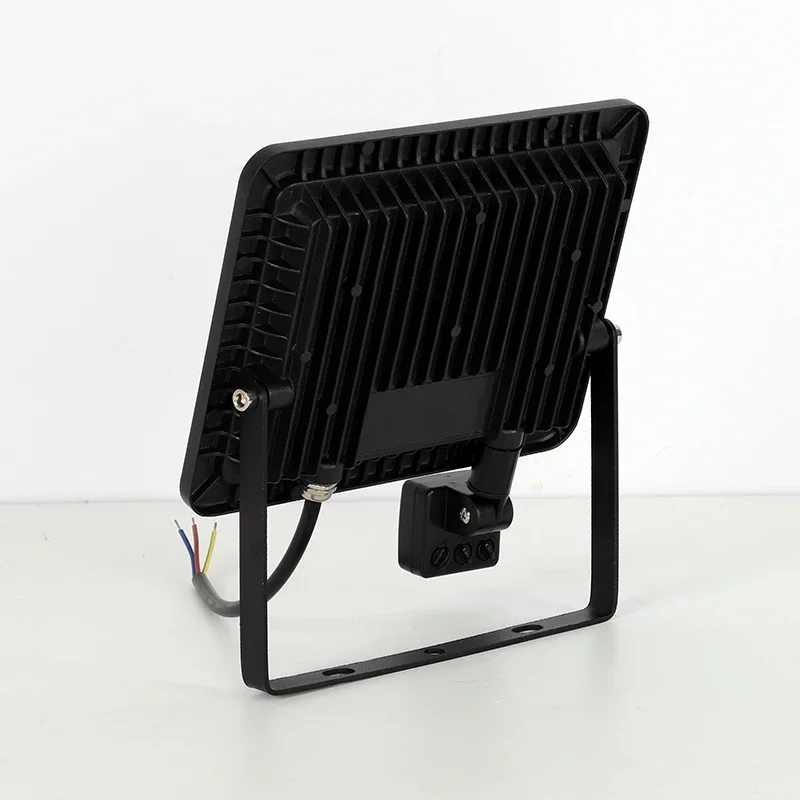 Reflector LED de Inducción de 10W 20W 30W 50W 100W con Sensor PIR Ajustable, 110V 220V, para Iluminación Exterior de Calles y Plazas