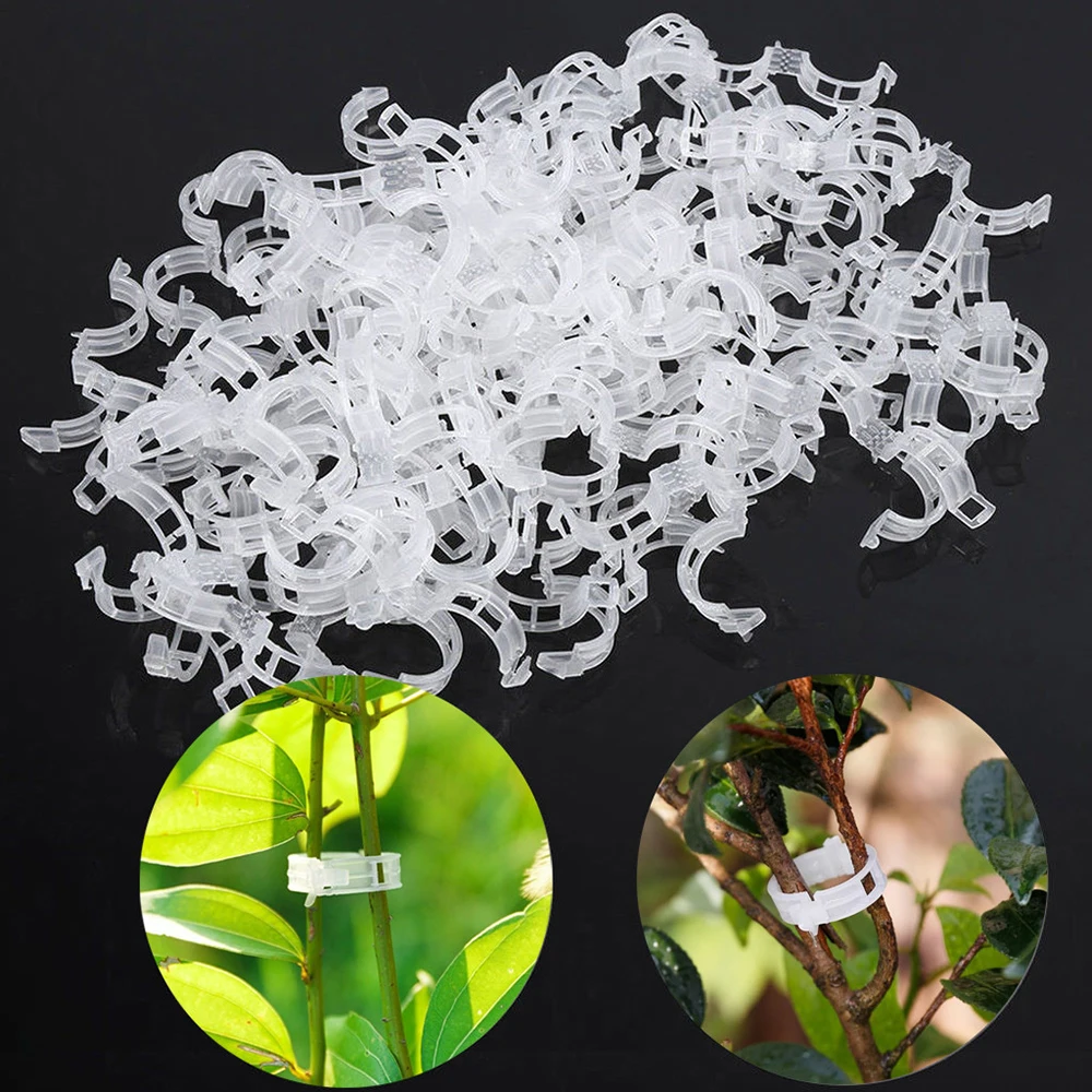 Clips de plástico para plantas, accesorio de protección reutilizable, herramienta de fijación de injerto, suministros de jardinería para vegetales y tomates, 50/100 unidades