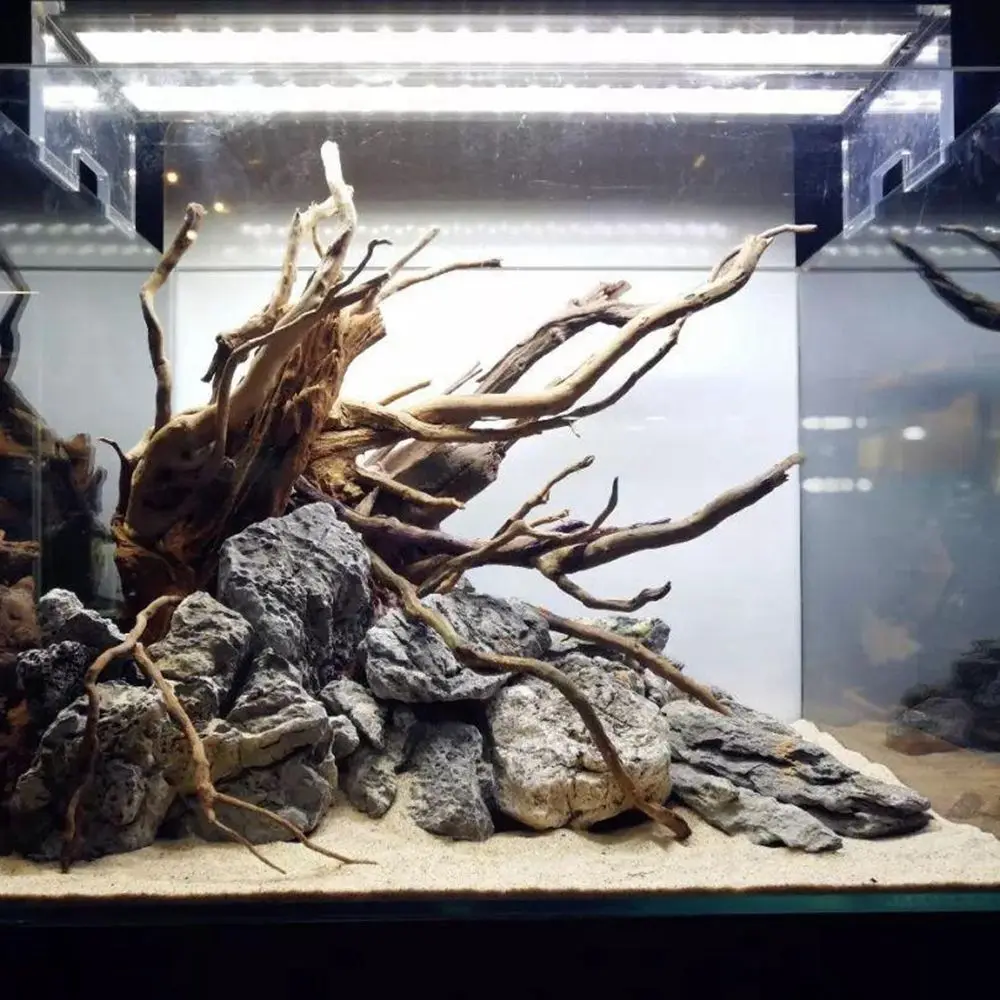 Acuario Driftwood Natural pecera planta decoración árbol acuario pecera tocón acuario hogar pecera paisajismo decoración herramienta para mascotas