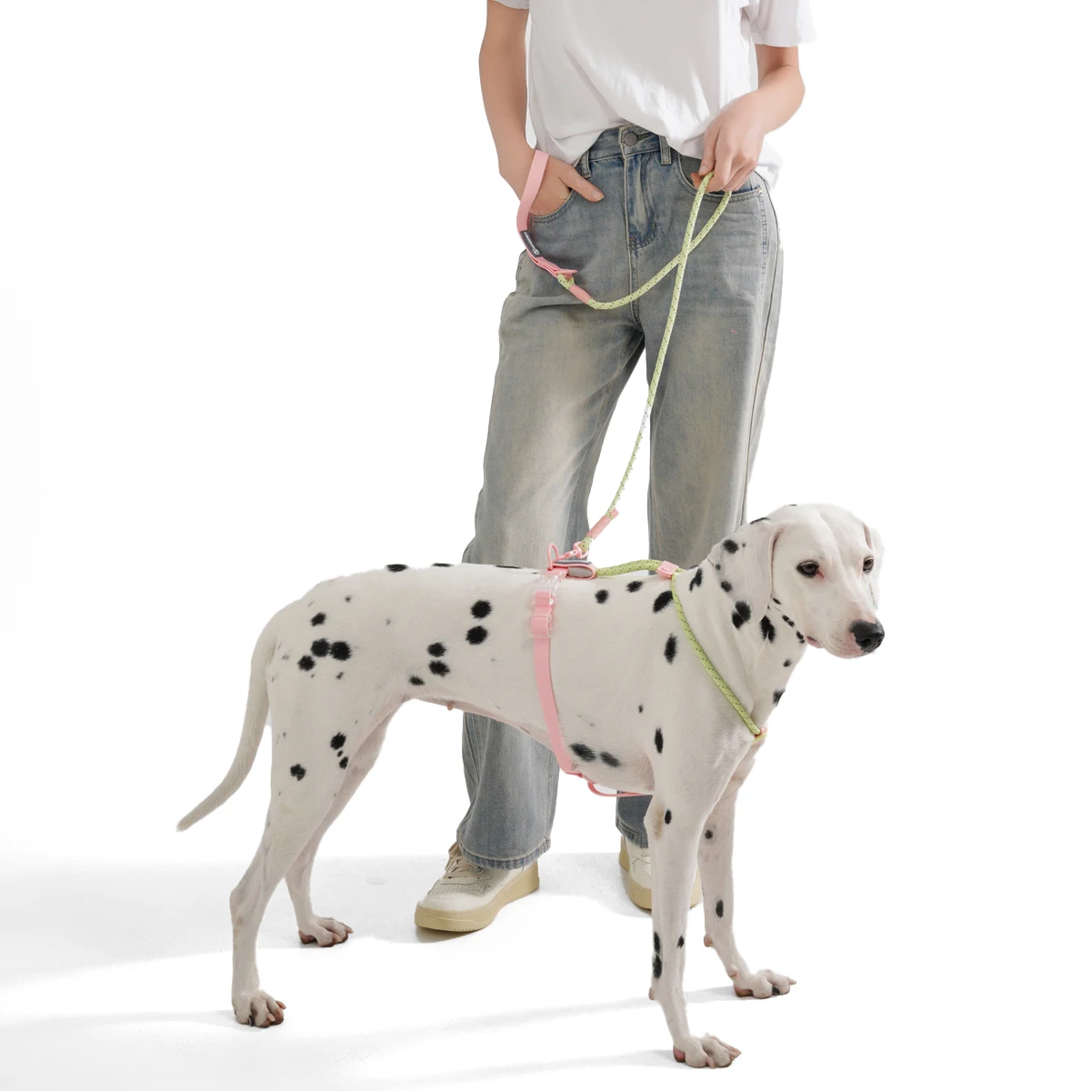 Suministros para Mascotas, Collar para Perros Pequeños y Medianos, Serie Color Caramelo, Estilo Lindo, Collar de PVC con Correa, Conjunto de Correas, Nueva Llegada