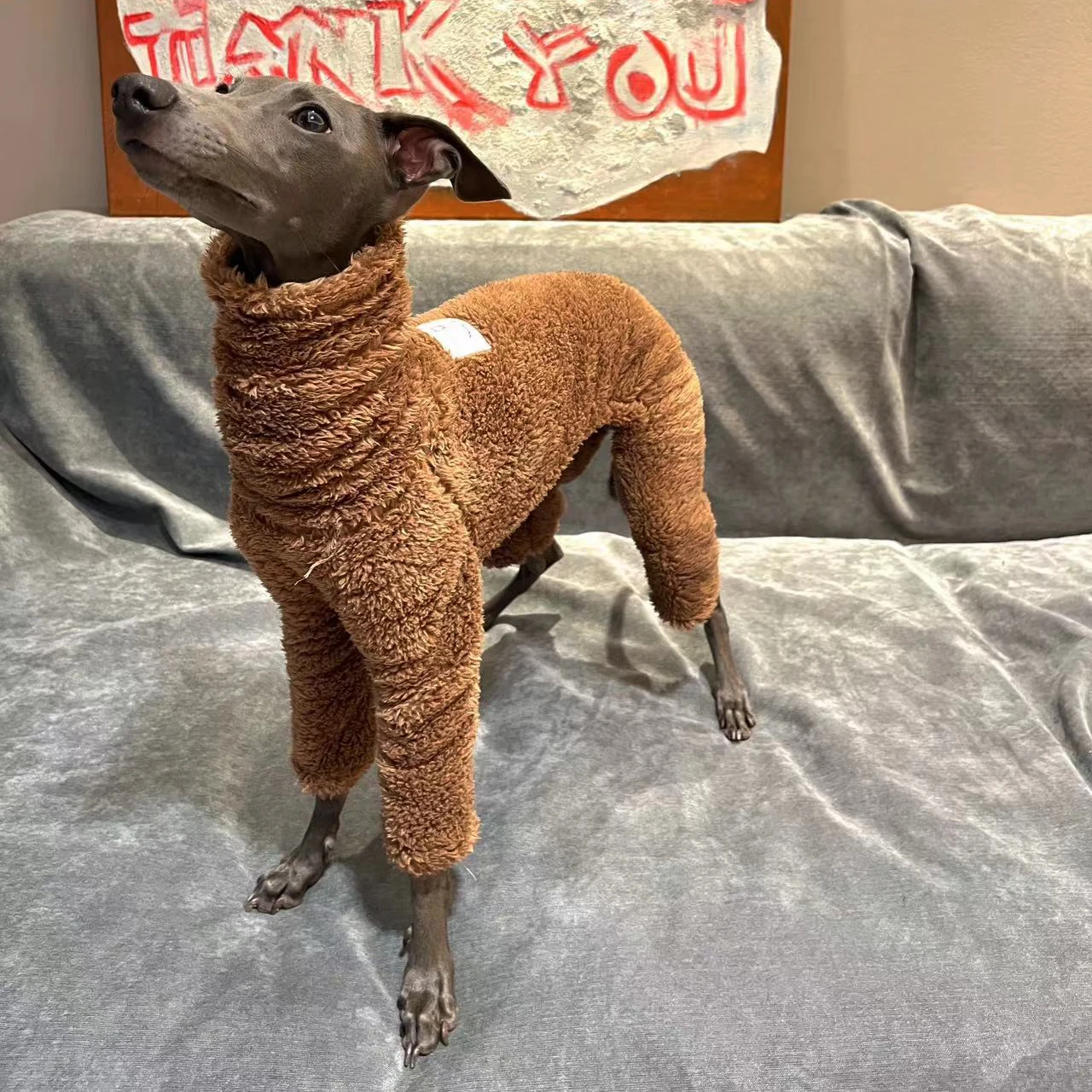 Ropa de invierno para perros, cuello alto, forro polar de doble cara, cálido, galgo/Whippet/abrigo para perros pequeños y medianos