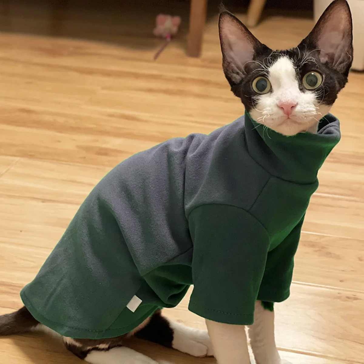 DUOMASUMI-ropa de gato Sphynx autocalentable, ropa interior térmica cálida para gato, Devin Konnis Sphynx, sin pelo