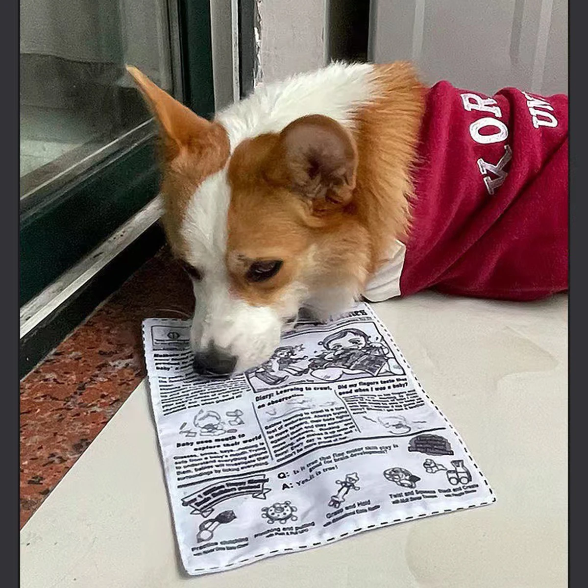 Juguete con sonido de perro a prueba de lágrimas, tarjeta de juego de periódico chirriante simulada, K Q J, resistente a los dientes, Corgi, cachorro de peluche interactivo, 1 ud.