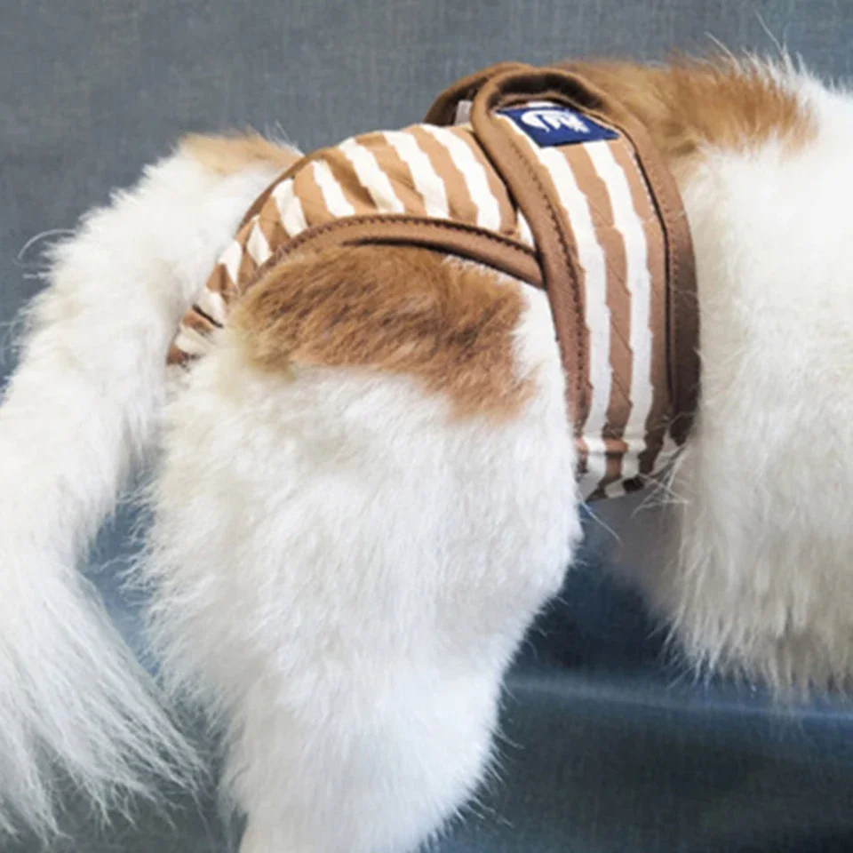 NONOR-pantalones cortos lavables para perro, bragas para menstruación, ropa interior, mono, pantalón fisiológico para mascotas, pañal sanitario