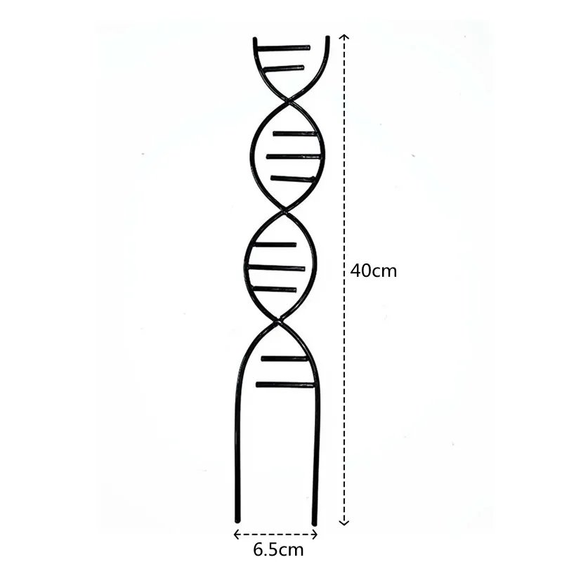 Estante de soporte de Metal para plantas trepadoras, enrejado de plantas, estante trepador de crecimiento de vid, soporte de flores, protección, suministros de jardín
