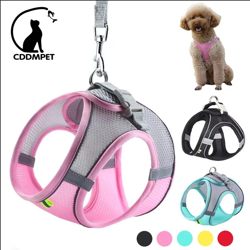 Arnés de chaleco para cachorros y gatos con correa, correas de pecho de malla transpirable para mascotas, arneses reflectantes para Chihuahua y York, correa para pasear Bulldog