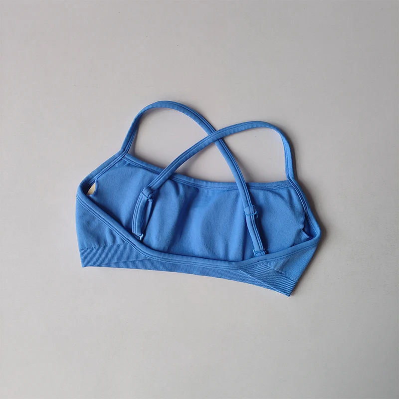 Sujetadores deportivos sin costuras para mujer, Top corto de tubo para Yoga, traje de entrenamiento para Fitness, a prueba de golpes y parte de atrás bonita