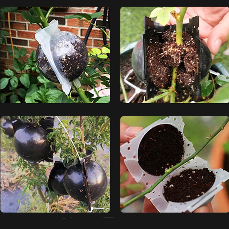 Bola de cría, caja de cultivo de raíces de plantas, bola de raíz de jardinería de alta presión, caja de cría, caja de plantación de enraizamiento de injerto de jardín D4