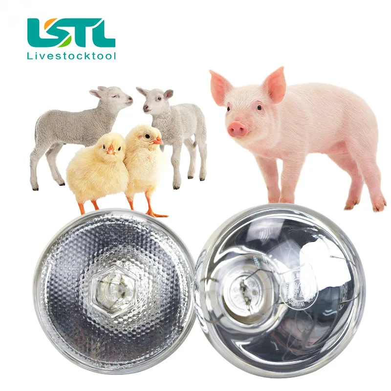 Bombilla de calefacción para animales de ganado, 220V, preservación térmica, rayos infrarrojos de calor para reptiles, anfibios, mascotas, 100/150/200/275W