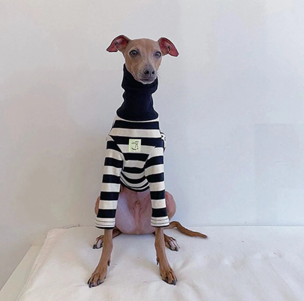 Ropa a rayas blancas y negras para mascotas, nueva ropa italiana para perros de primavera y verano, camisa para parejas, ropa para perros y gatos, cachorros