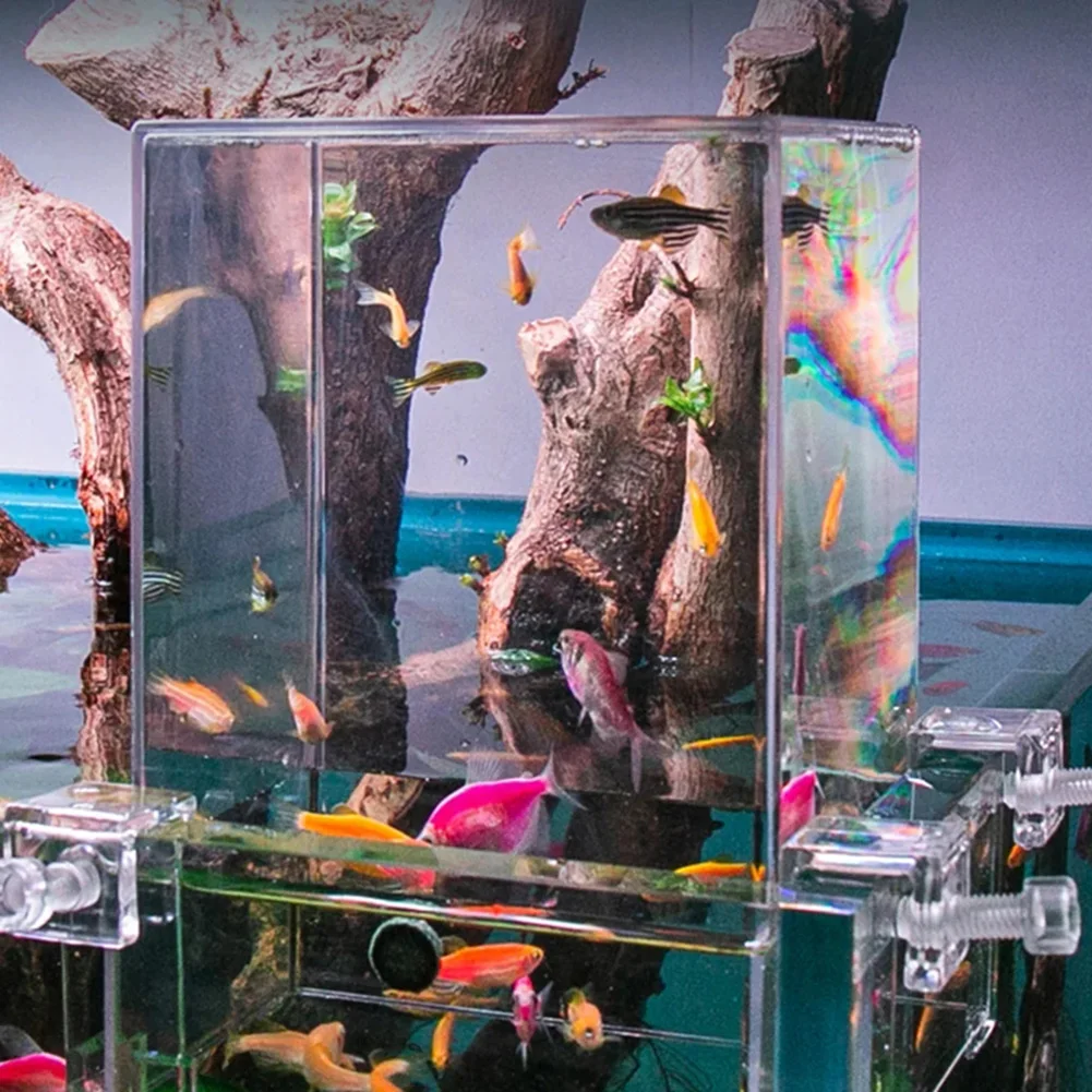 Acuarios de presión negativa, extensor de acuario aéreo transparente, decoración de paisajismo ecológico, aislamiento de cuenco para pecera
