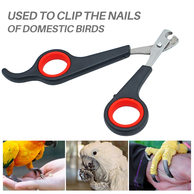 Pet pájaro loro animales pequeños accesorio herramienta de aseo tijeras para uñas cortaúñas negro y rojo