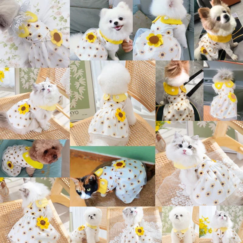 Vestido de princesa para perro, bonito vestido de malla para perro, gatito, cachorro, falda para mascota, vestido de verano para perro, lazo de encaje, ropa coreana para caniche, Chihuahua