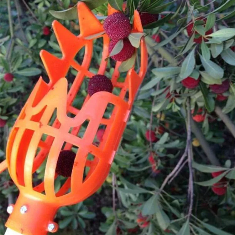 Cesta de jardín, cabezal recolector de frutas, herramienta de selección de frutas de plástico multicolor, suministros para recoger azufaifa Bayberry agrícola, 1 ud.