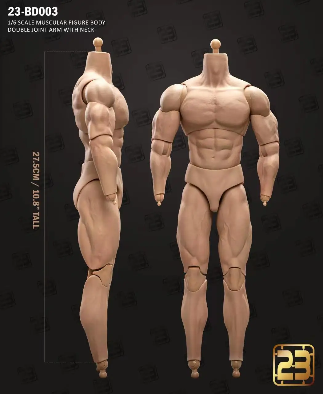 23TOYS 23-BD001 BD003 1/6 soldado masculino cuerpo articulado muscular estándar 23,5 cm - 27,5 cm figura de acción de soldado masculino cuerpo articulado