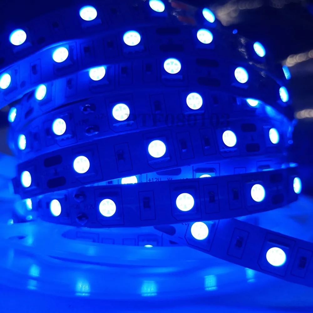Tira de LED 5050 DC 12V 24V RGB blanco cálido 5 metros impermeable raya de luz Flexible 60LED/cinta pigmentada Luces lámpara cinta TV retroiluminación