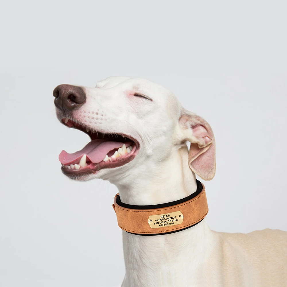 Collar de cuero personalizado para perro, collares acolchados anchos y suaves para perros medianos y grandes con placa de identificación grabada gratis, accesorios para perros