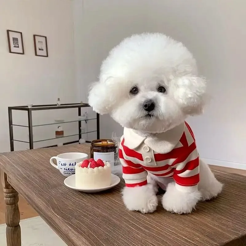 Polo de verano para perros, ropa para cachorros, Bichon Frise, Chihuahua, sudadera a rayas para perros, chaleco refrescante para perros pequeños y medianos
