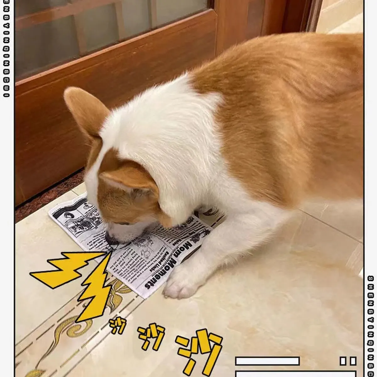Juguete con sonido de perro a prueba de lágrimas, tarjeta de juego de periódico chirriante simulada, K Q J, resistente a los dientes, Corgi, cachorro de peluche interactivo, 1 ud.