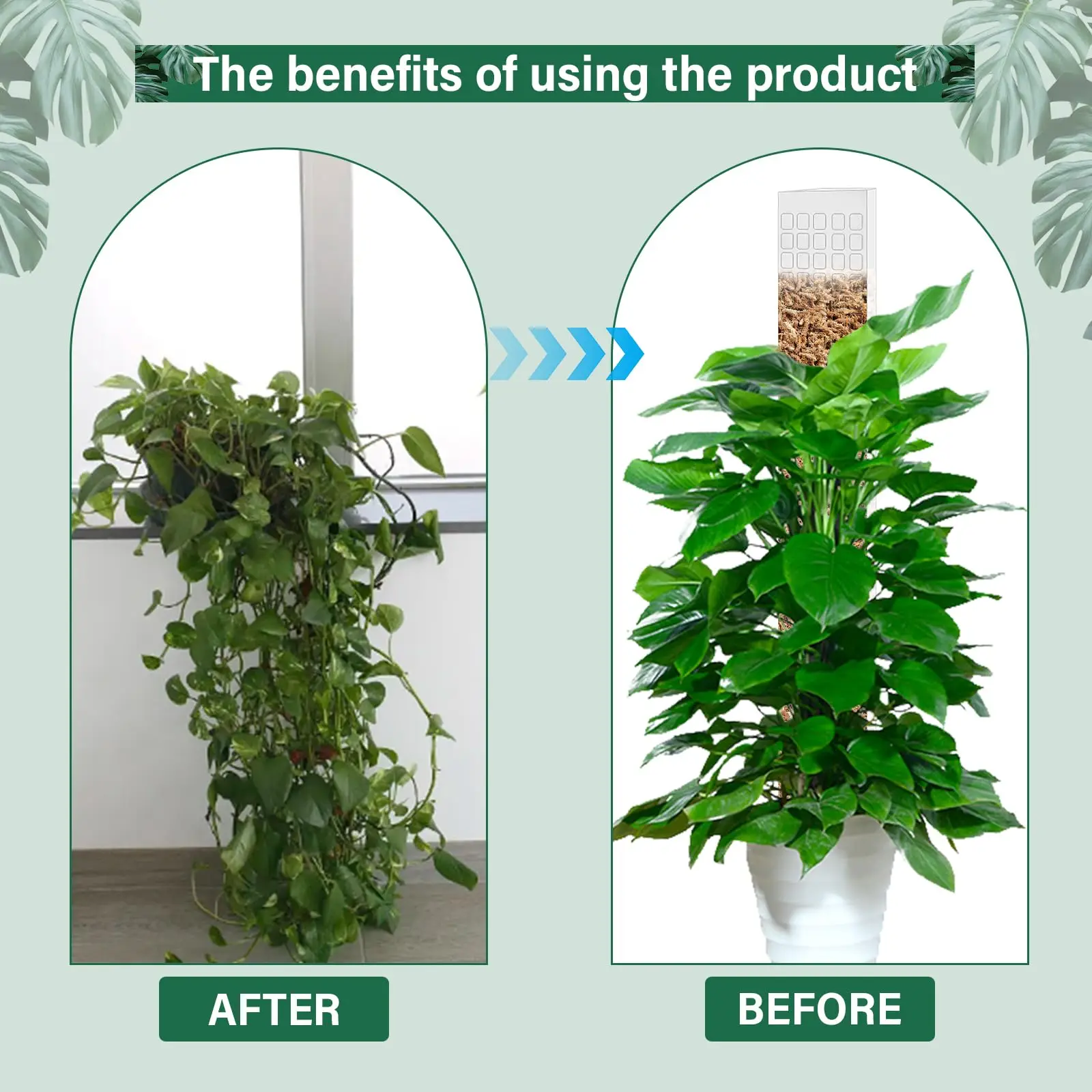 Soporte de Plástico para Plantas Trepadoras de Interior, Tutor para Plantas, Varilla de Musgo para el Crecimiento de Plantas, Accesorios de Soporte para Jardín