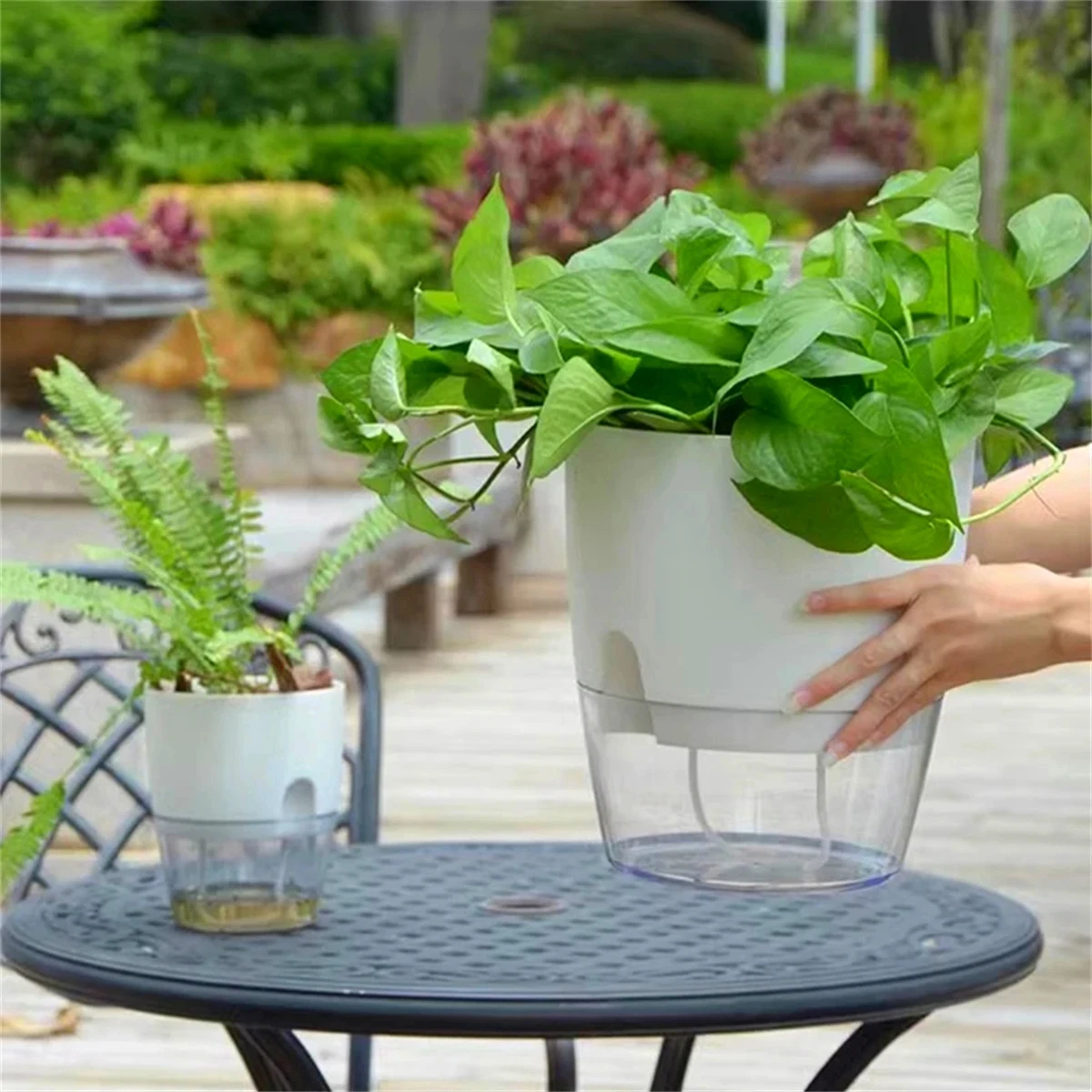 Maceta de cultivo sin suelo de 2 capas, cuerda de algodón, autorriego, lavabo de plantas hidropónicas, riego automático, maceta perezosa, 1 ud.