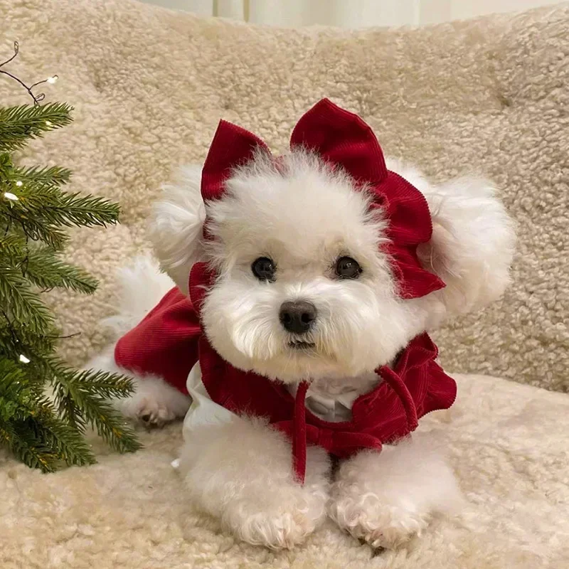Conjunto de vestido con lazo para cachorro, ropa cálida de invierno para perros, vestido de princesa de Navidad para mascotas, falda de Color sólido de peluche, enviar Clip