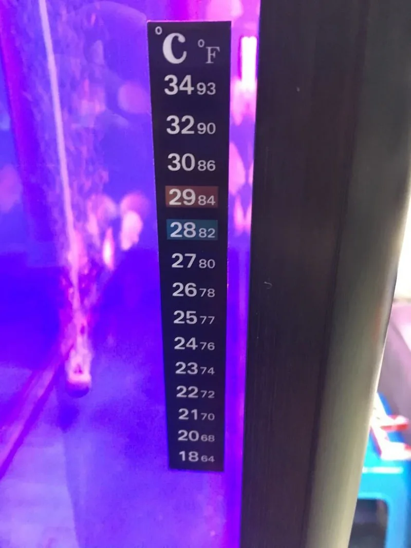 Tira adhesiva para acuario, termómetro decolorante, adhesivo de doble escala, herramientas de temperatura, 5 uds./10 Uds.