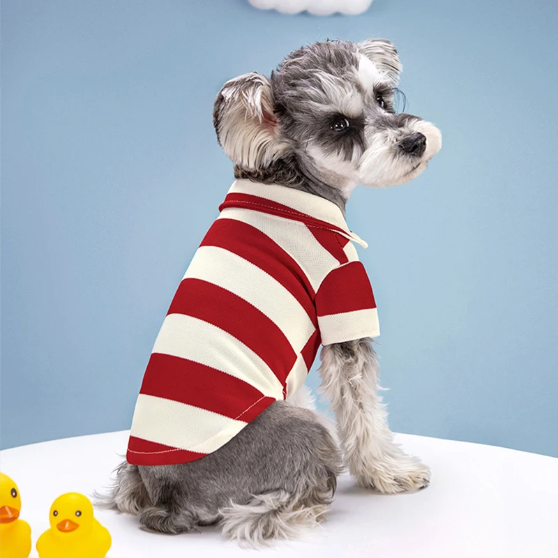 Camiseta Polo para Perro, Ropa Casual de Verano para Perros Pequeños y Grandes, Camiseta para Gatos, Disfraces para Chihuahua, Pug, Yorkshire