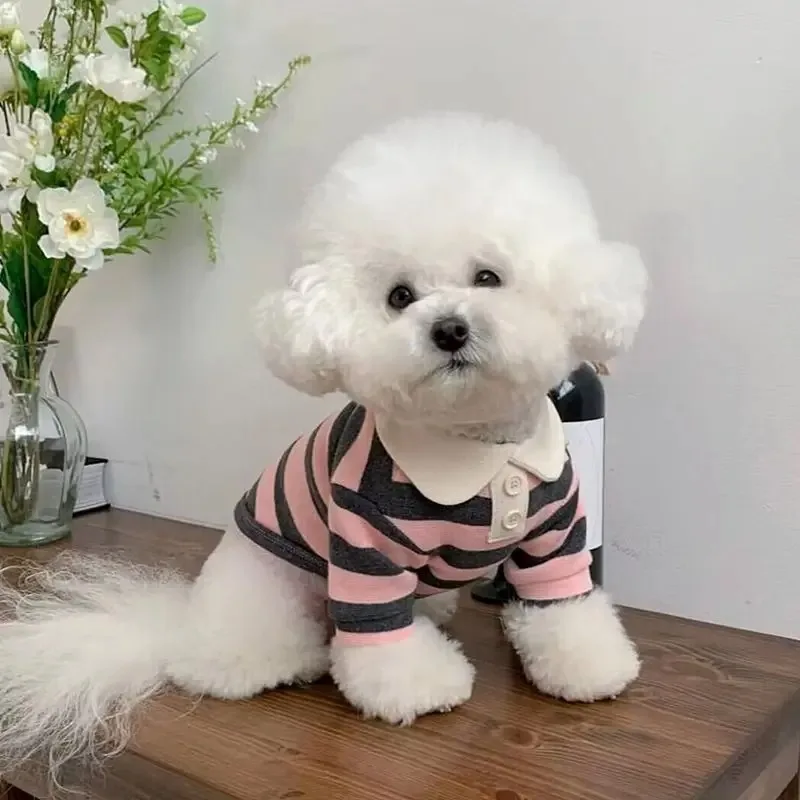 Polo de verano para perros, ropa para cachorros, Bichon Frise, Chihuahua, sudadera a rayas para perros, chaleco refrescante para perros pequeños y medianos