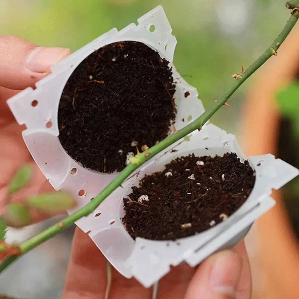 Bolas de capas de aire de 5/8/12cm, bola de enraizamiento de plantas, caja de cultivo de raíces de propagación de alta presión, caja de cría de injerto, maceta para vivero