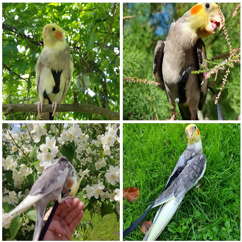 Cuerda de tracción voladora para entrenamiento, cuerda de entrenamiento antimordida, correa para pájaros, cuerda voladora para loros, arnés para loros, correa para pájaros