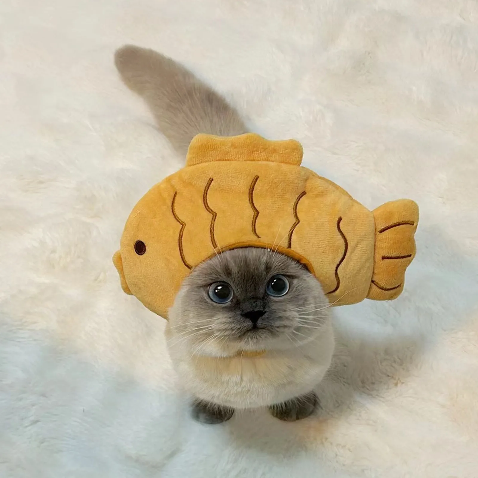 Sombrero de gato de dibujos animados, bonito disfraz de gato con forma de pez, tocado transpirable, sombrero para gato, sombrero para mascota, sombrero divertido de felpa para mascota, juguete para gato