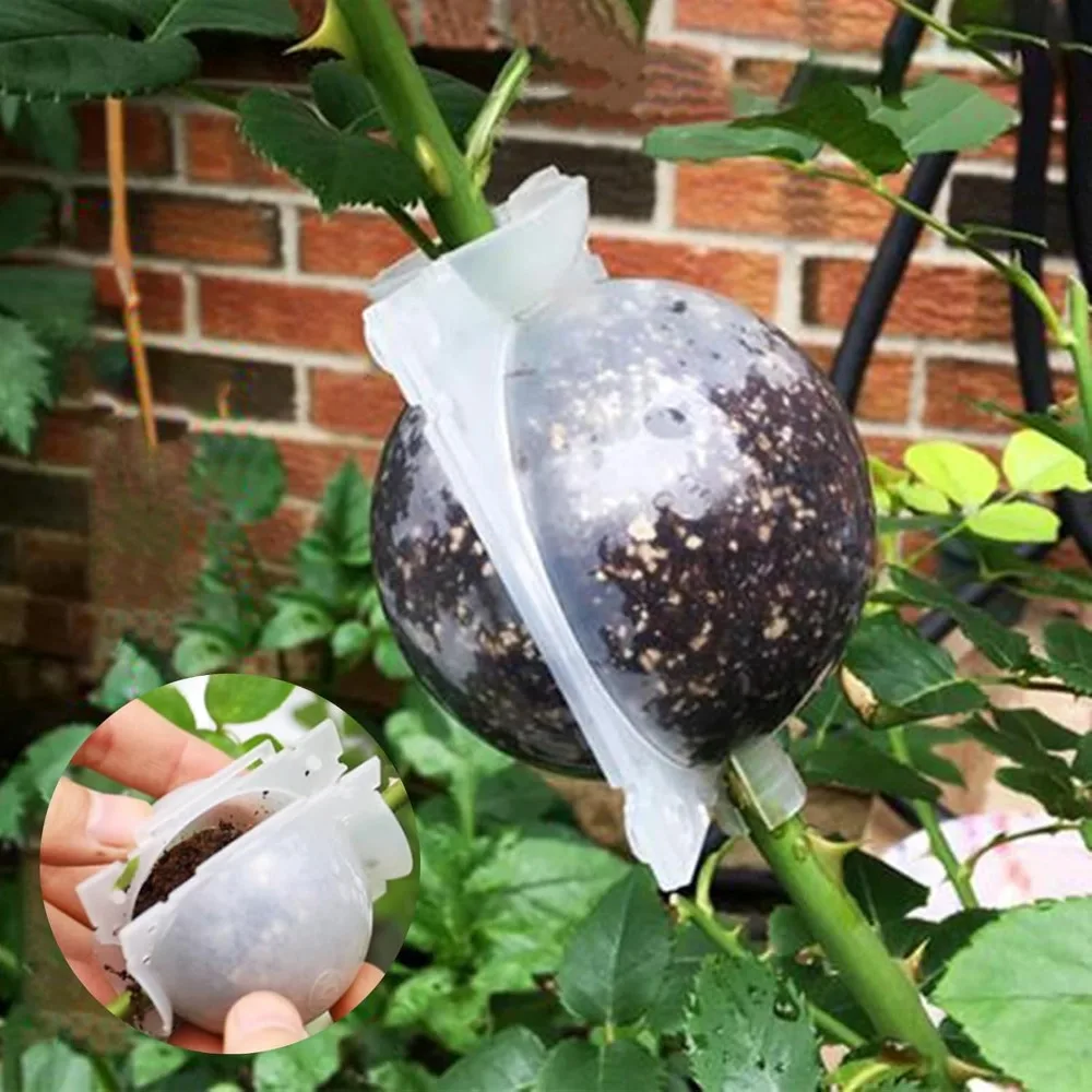 Bolas de capas de aire de 5/8/12cm, bola de enraizamiento de plantas, caja de cultivo de raíces de propagación de alta presión, caja de cría de injerto, maceta para vivero
