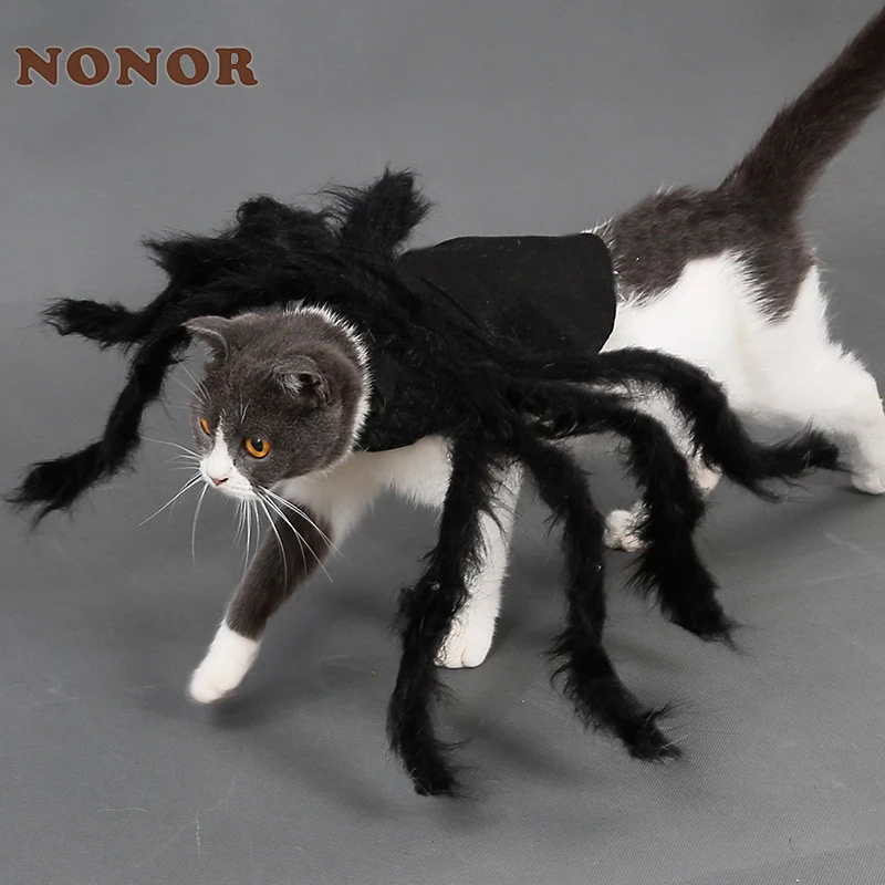 NONOR-ropa de Halloween para perros y gatos, disfraz divertido de araña para mascotas, disfraces de fiesta de Halloween para perros pequeños y medianos