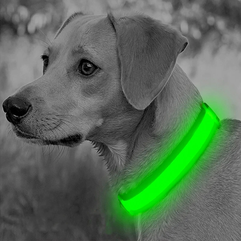 Collar luminoso LED, Collar brillante ajustable para perro, recargable por USB, intermitente, antipérdida/a evita accidentes del coche, productos para perros y mascotas