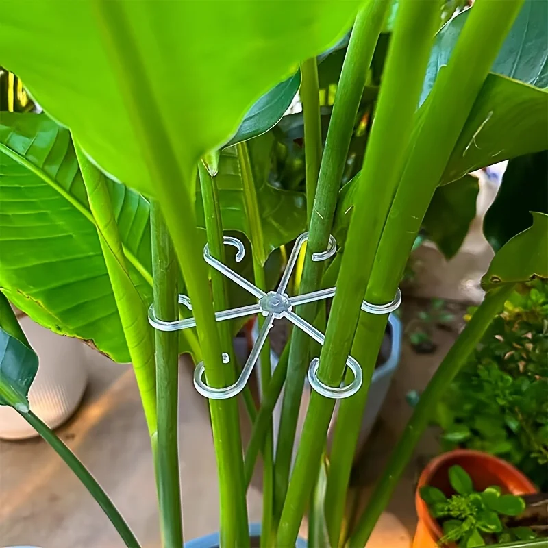 Poste de soporte antiapertura para plantas, fijador de plantas verdes, soporte fijo plegable hidropónico para flores, accesorios de jardín, 4 Uds.