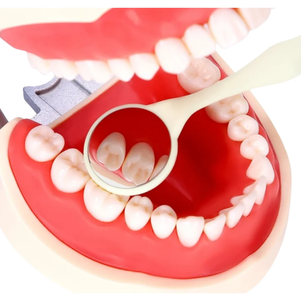 10 unids/caja Dental espejos bucales de doble cara Autoclavable Premium superficie frontal Reflector de examen espejo Oral materiales de odontología