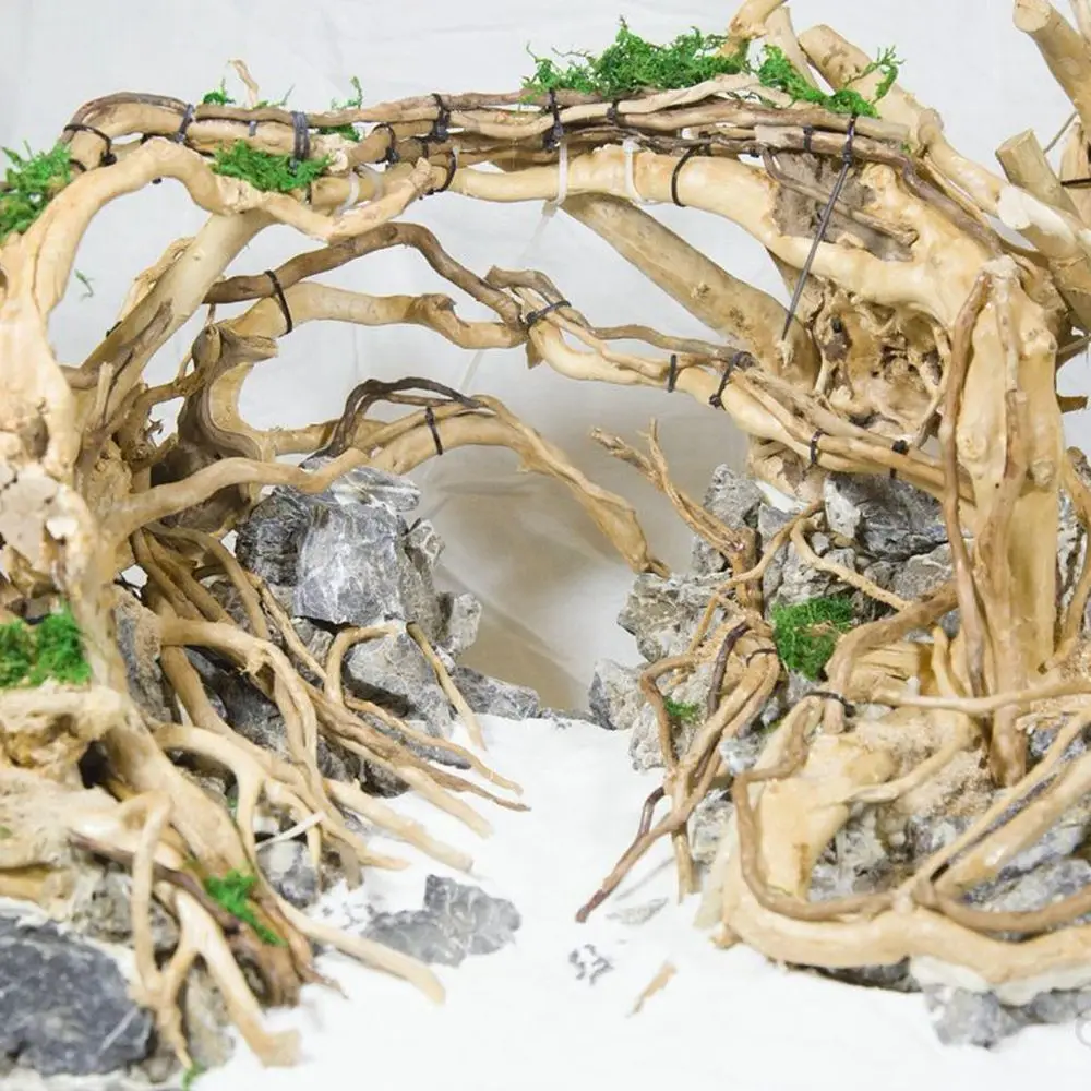 Acuario Driftwood Natural pecera planta decoración árbol acuario pecera tocón acuario hogar pecera paisajismo decoración herramienta para mascotas