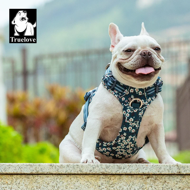 Truelove Arnés para Perros Floral Sin Tirones Tela de algodón Transpirable y Reflectante Suave para Chaleco Ajustable Grande Mediano PequeñoTLH5655