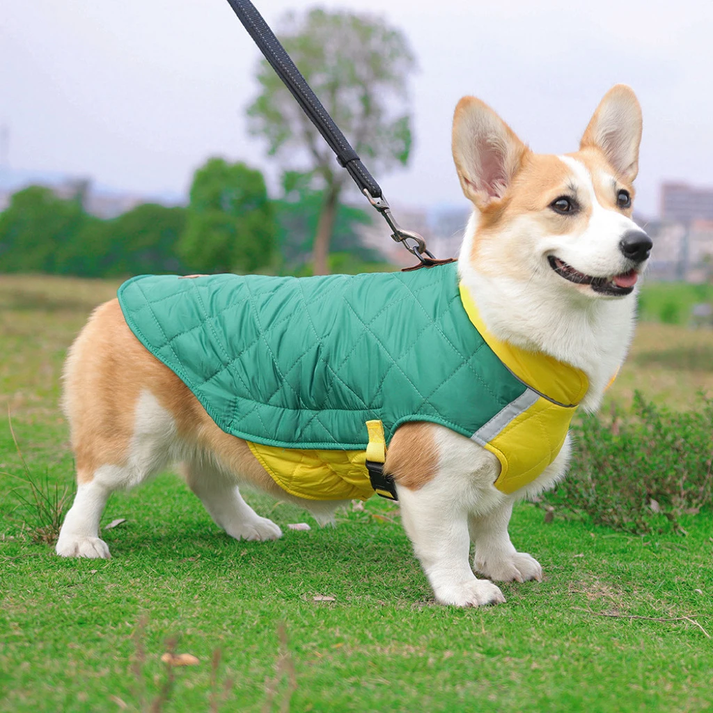 Ropa de invierno para perros, chaleco impermeable para perros, chaqueta para perros pequeños y grandes, abrigo cálido para perros, ropa acolchada, trajes de Bulldog Francés
