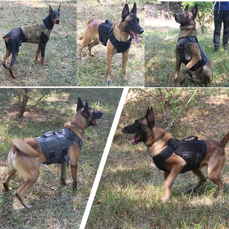 Chaleco militar táctico para mascotas pastor alemán Golden Retriever, juego de arnés y correa para perros de entrenamiento táctico para perros de todas las razas