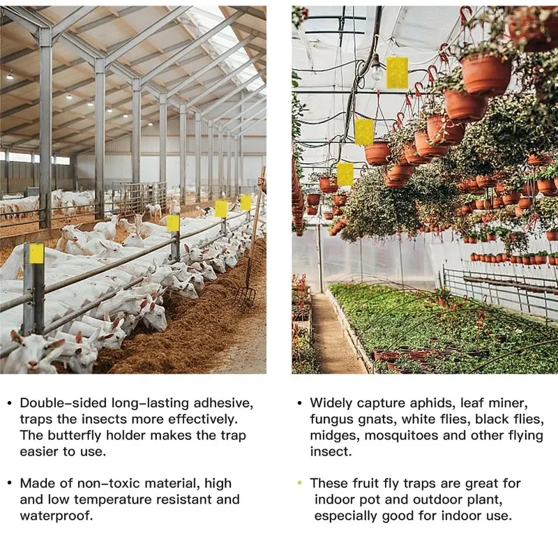 10 unids/set trampas para insectos de tablero de moscas y limo de frutas, huerto de frutas, jardín de melones, granja, trampas para insectos domésticas