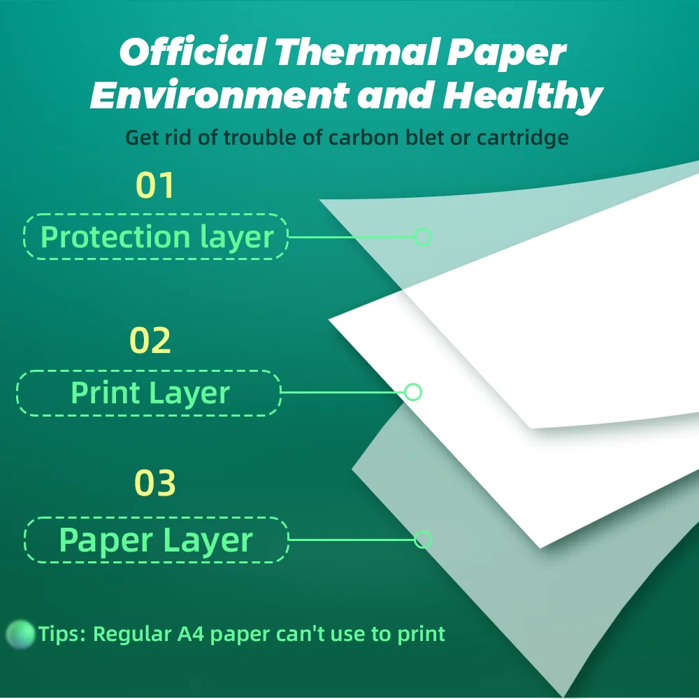 Papel de impresora térmica Phomemo A4, papel de carta continuo de secado rápido, adecuado para impresora portátil M832/M833/M834/M835, 2 rollos