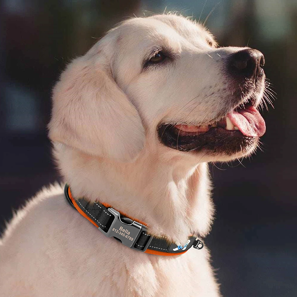 Collar reflectante con hebilla de identificación personalizada para perros pequeños, medianos y grandes, con grabado gratis, acolchado suave, ajustable