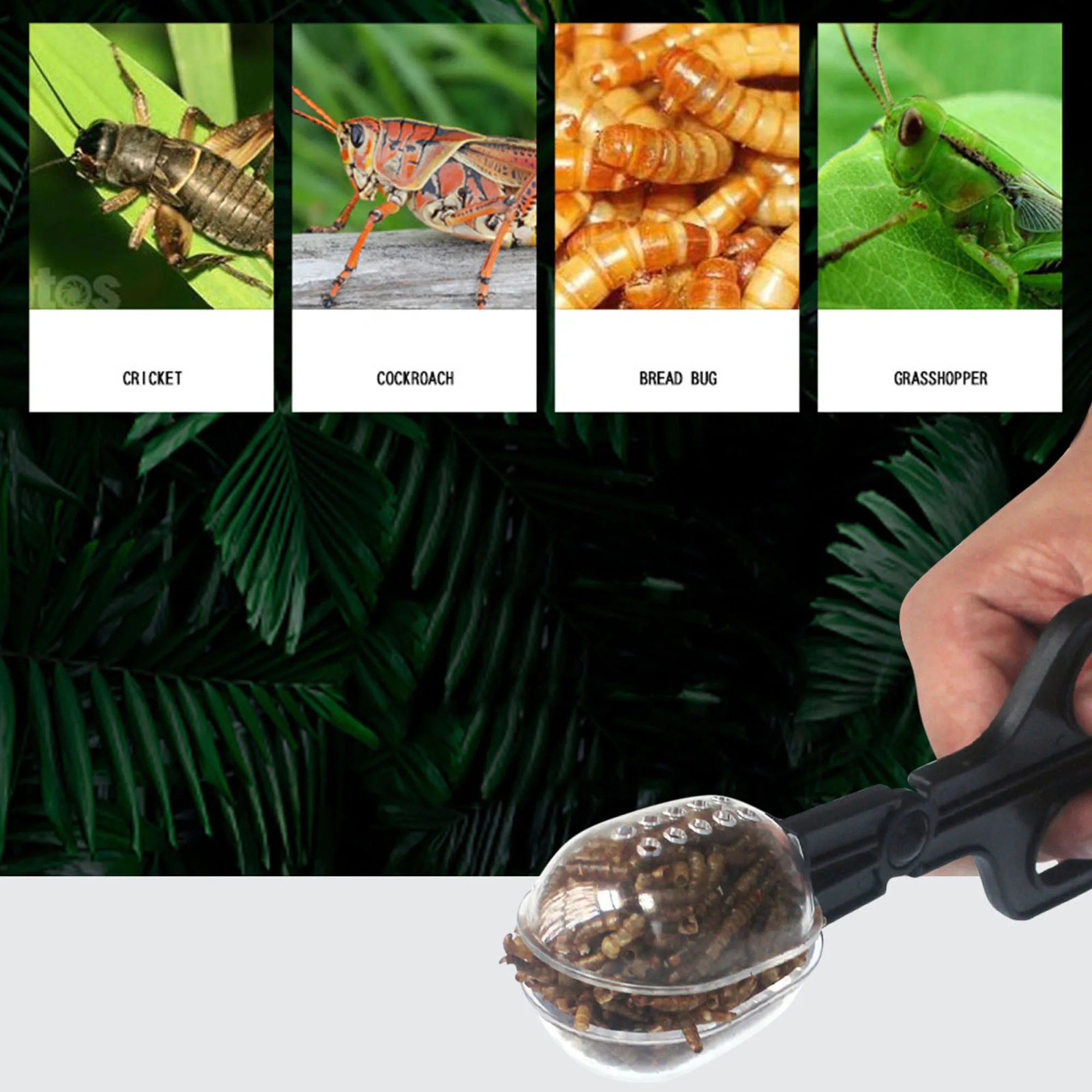 Terrario para reptiles, lagartos, pinzas de plástico, herramienta de alimentación para levantar mascotas, Clip para niños, herramienta de estudio de biología de insectos y plantas escolares