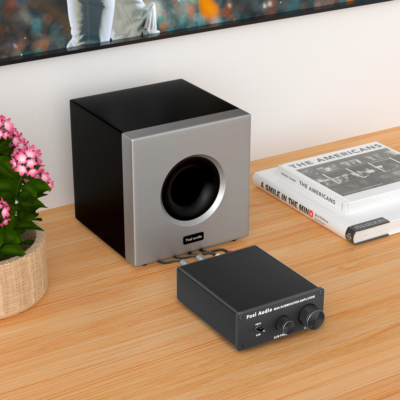 Fosi Audio Mono amplificador Subwoofer Amp 100W con amplificador de potencia de graves para altavoz pasivo doméstico M04