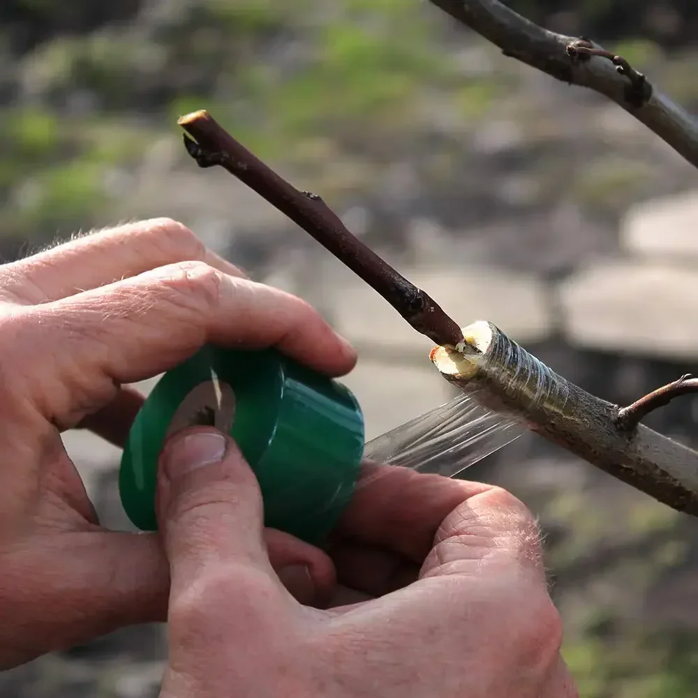 5 rollos de cinta de injerto de PVC, autoadhesivo, estirable, transparente, para jardín, árboles frutales, plantas, plántulas, envoltura protectora de vid, Parafilm