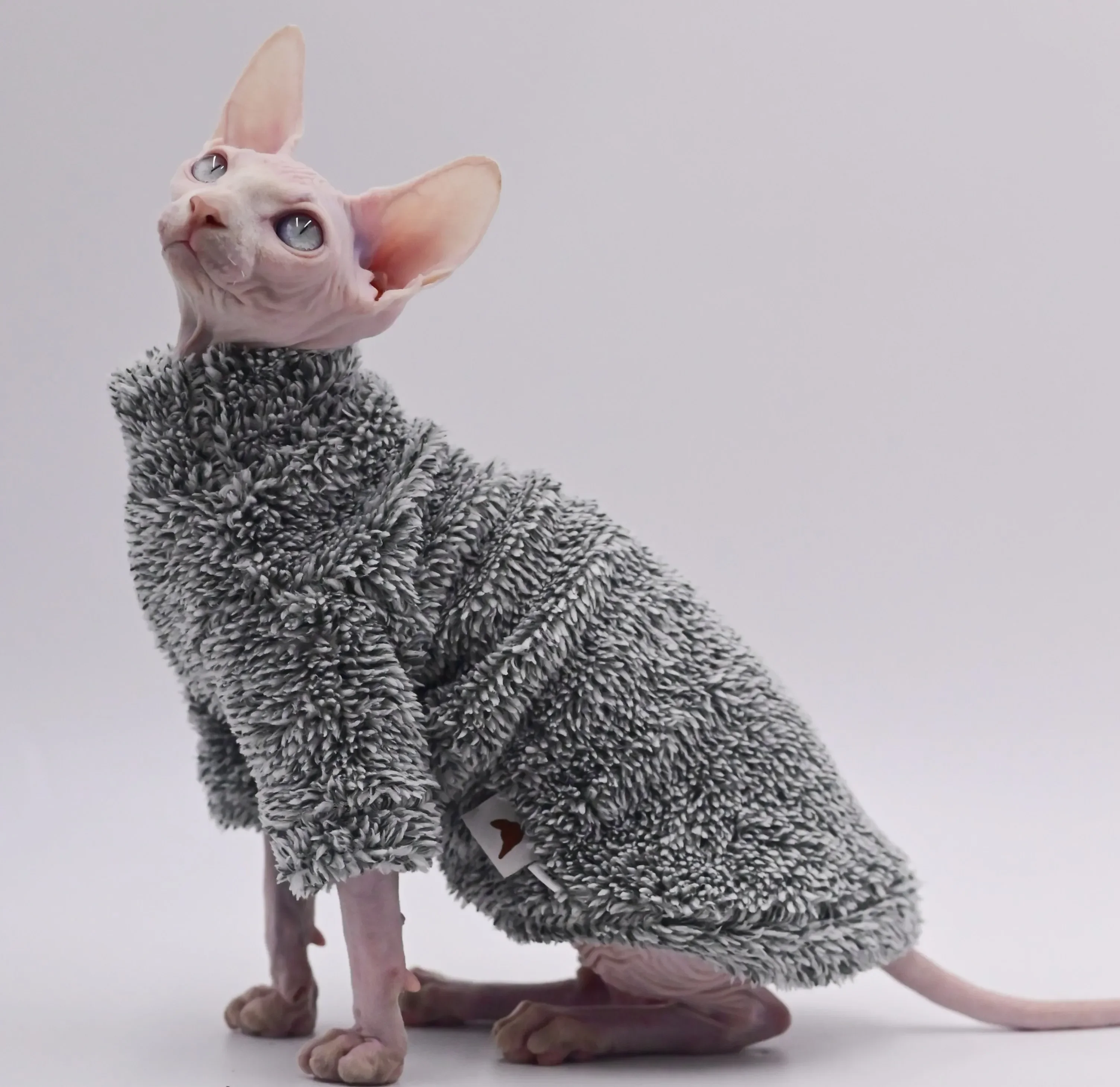 DUOMASUMI-Chaqueta de invierno suave y esponjosa de doble cara, abrigo cálido para gato, ropa gruesa para gato Sphinx Sphynx, trajes para gatos sin pelo