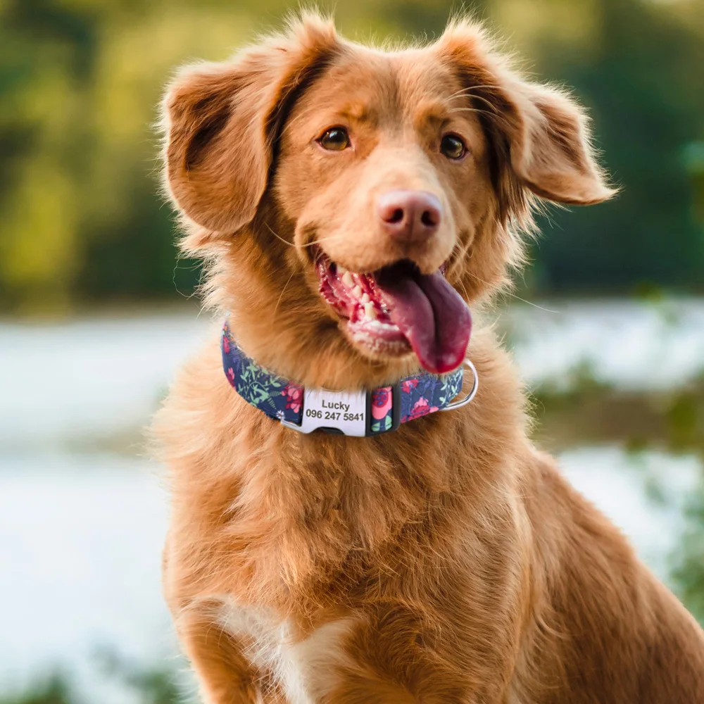 Collar personalizado con estampado Floral para mascotas, Collar de Nylon para perro con grabado gratuito, para perros pequeños, medianos y gatos, etiqueta de identificación de nombre